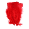 PLUMES ROUGES 25G