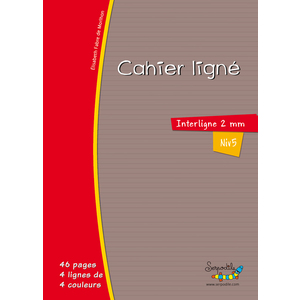 CAHIER SERPODILE A4 48P L2MM AVEC MARGE NIVEAU 5