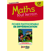 Maths tout terrain CP 2019 Fichier photocopiable de différenciation