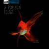 Le poisson rouge