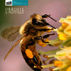 L'abeille