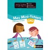 MINI FICHIER ELEVE MATHS HEURISTIQUE CM2