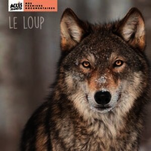Le loup