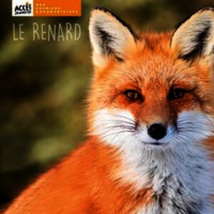 Le renard
