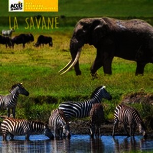 La savane
