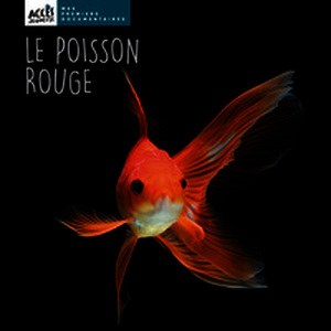 Le poisson rouge