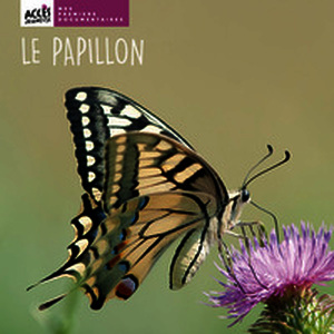 Le papillon