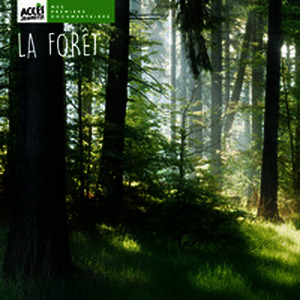 La forêt