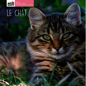 Le chat