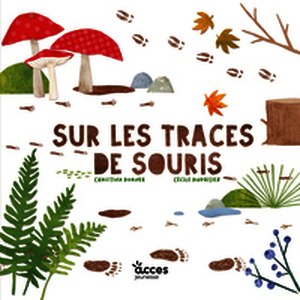 Sur les traces de Souris
