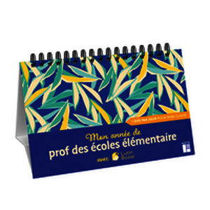 Une idée par jour pour faire classe - Mon année de prof d'élémentaire avec Lutin Bazar
