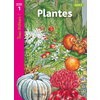 PLANTES NIVEAU 1
