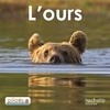 LECTURE CP PILOTIS OURS