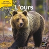 Cycle 2 - L'ours