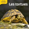 Cycle 2 - Les tortues