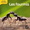 Cycle 2 - Les fourmis