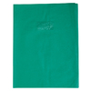 PROTÈGE-CAHIER PLASTIQUE 24X32 OPAQUE VERT