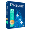 REPORT A3 RAMETTE 500F 80G CIE CIE 160