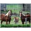 ANIMAUX DE LA FERME LOT 2 PUZZLES MAGNETIQUES