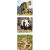 ANIMAUX - LOT DE 3 PUZZLES PROGRESSIFS