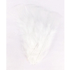 PLUMES BLANCHES 25G