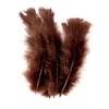 PLUMES NOIRES 25G