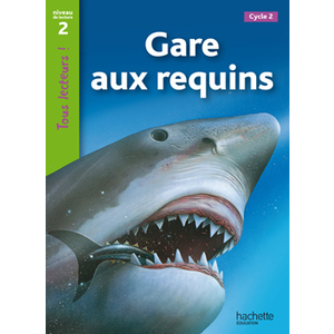 GARE AUX REQUINS NIVEAU 2