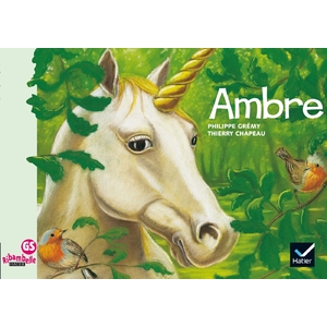 Ambre