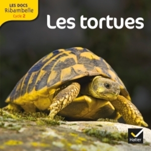 Cycle 2 - Les tortues