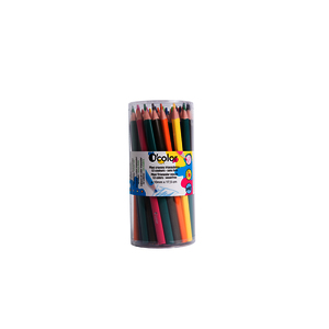 POT 48 MAXI CRAYONS COULEURS ASSORTIS