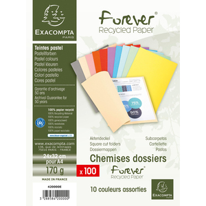 100 CHEMISES DOSSIER COLORIS ASSORTIS