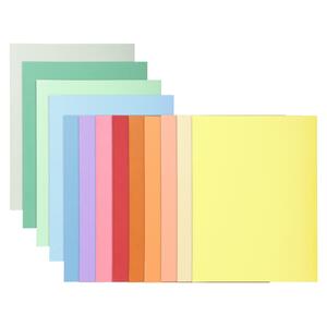 100 CHEMISES DOSSIER QUALITÉ SUPÉRIEURE COLORIS ASSORTIS