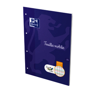 FM SERPODILE PERF A4 100P L2MM AVEC MARGE NIVEAU 5