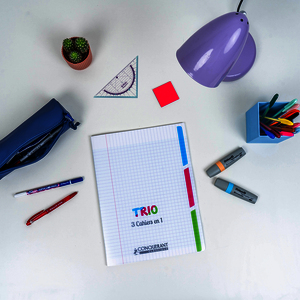 CAHIER 3 EN 1 PP 17X22 96P S?Y?S