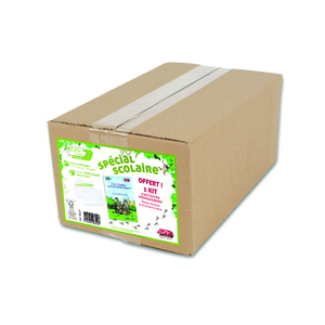 BOITE 500 ENVELOPPES C6 RECYCLEES BLC 80G