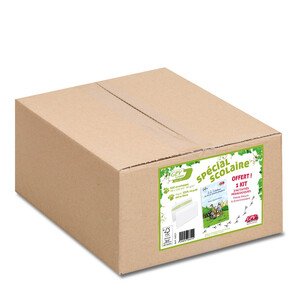 BOITE 500 ENVELOPPES 110X220  RECYCLEES BLANC 80G