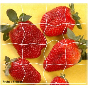 FRUITS LOT 4 PUZZLES MAGNETIQUES