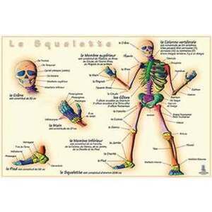 LE SQUELETTE CARTE PLASTIFIÉE