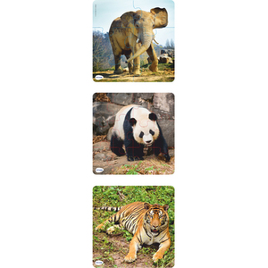 ANIMAUX - LOT DE 3 PUZZLES PROGRESSIFS