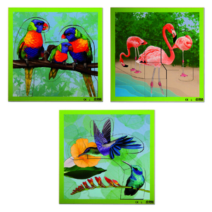 LOT 3 PUZZLES BOIS OISEAUX EXOTIQUES