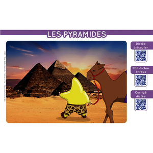 ?TOILIUM - CARNET CHAMPIONS DE DICT?E AVEC LES ?TOILITOS