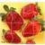 FRUITS LOT 4 PUZZLES MAGNETIQUES