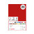 10 COUPONS FEUTRINE ROUGE 20X30CM